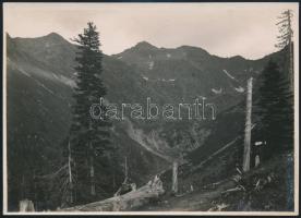cca 1910 Fogarasi-havasok, a Negoj a menedékház felől, Erdélyi Mór felvétele, hátulján feliratozva, 11,5×16 cm /  cca 1910 Munţii Făgăraş, the view of Vârful Negoiu from the mountain shelter, vintage photo, with notes on its back, 11,5×16 cm