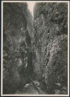 cca 1910 Brassó-vidéki hegyek, a Tamina-hasadék, Erdélyi Mór felvétele, hátulján feliratozva, 11,5×16 cm /  cca 1910 Munţii Bârsei, the Cascada Tamina, vintage photo, with notes on its back, 11,5×16 cm