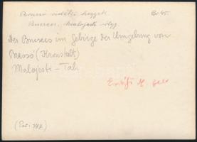 cca 1910 Bucsecs-hegység, Malajesti-völgy, Erdélyi Mór felvétele, hátulján feliratozva, 11,5×16 cm /...