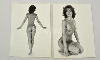 cca 1977 Menesdorfer Lajos (?-?): Elölről és hátulról, 2 db pecséttel jelzett vintage fotóművészeti alkotás, 40x30 cm