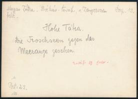 cca 1910 Magas-Tátra, a Menguszfalvi-Békás-tavak, Erdélyi Mór felvétele, hátulján feliratozva, 11,5×...