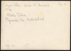 cca 1910 Magas-Tátra, a Poprádi-tó, Erdélyi Mór felvétele, hátulján feliratozva, 11,5×16 cm /

cca...