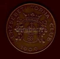 1909. "Erzsébeti Torna Club" közepes bronzérem T:2