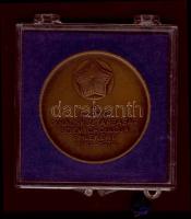 1979. "Magyar Tanácsköztársaság.." Br emlékérem, eredeti tokban T:2