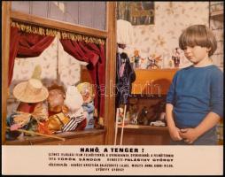 1972 Filmfotók a Hahó, a tenger! című magyar ifjúsági filmből, 5 db, Kovács Krisztián, Balázsovits L...