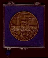 1979. "Magyar Tanácsköztársaság.." Br emlékérem, eredeti tokban T:2
