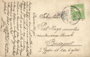 1908 Lőcse, Levoca; Tulipán ünnepéllyel egybekötött virágkorzó részlete, babakocsi kutyával / tulip ...