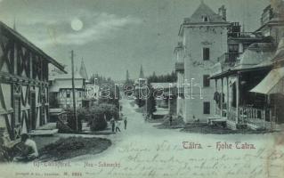 1899 Újtátrafüred, Novy Smokovec; utcakép, szállók / street view, hotels (kis szakadás / small tear)