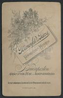 cca 1910 Az Országház, keményhátú fotó Bienfeld és Társa budapesti műterméből, 7×11 cm