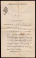 1900 Debrecen, Debrecen szabad királyi városa polgármestere által kiadott jegyzőkönyvmásolat, rajta Simonffy Imre királyi tanácsos, polgármester aláírásával