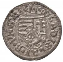 1498-1503K-h Denár Ag "II. Ulászló" (0,53g) T:2
Huszár: 809., Unger I.: 644.a