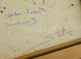 Stolz Tamás (?-): Impresszió. Olaj, vászon, jelzett, keretben, 40×30 cm