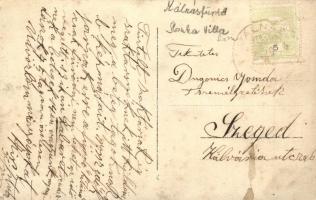 Málnásfürdő, Malnas Bai; csoportkép az Ilonka villa kertjében / group picture in the villa garden, s...