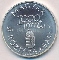 1995. 1000Ft Ag "Régi dunai hajók III - Hableány" tanúsítvánnyal T:BU Adamo EM139