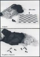 8 db MODERN erotikus sakk képeslap / 8 MODERN erotic chess postcards