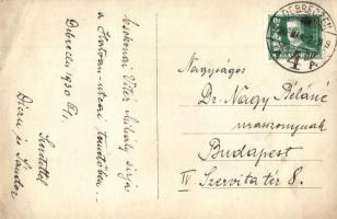 1930 Debrecen, Csokonai Vitéz Mihály sírja a Hatvan utcai temetőben, photo (EB)