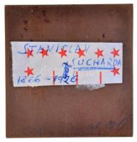 Osztrák-Magyar Monarchia / Csehország történelmi tartomány ~1900. "Bajszos férfi" Br plake...