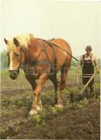 33 db MODERN lovas motívumlap / 33 modern horse motive cards