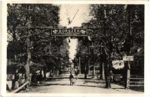 Borszék, Borsec - 2 db RÉGI városképes lap / 2 pre-1945 town-view postcards