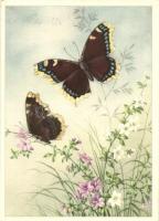 4 db RÉGI virág motívumos képeslap, pillangók / 4 pre-1945 flower motive cards, butterflies, Kunstve...