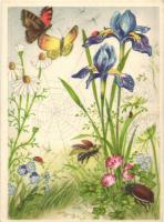 4 db RÉGI virág motívumos képeslap, pillangók / 4 pre-1945 flower motive cards, butterflies