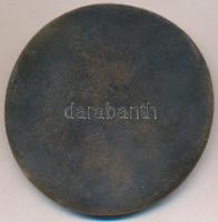 2000. "A görög katolikus templom szentelése 2000. VI. 11." Br plakett (82mm) T:2