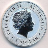 Ausztrália 2016P 1D "II. Erzsébet / Ausztrál Kenguru" T:PP Australia 2016P 1 Dollar "Elisabeth II / Australian Kangaroo" C:PP