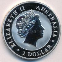 Ausztrália 2016P 1D "II. Erzsébet / Ausztrál Koala" T:PP kis fo. Australia 2016P 1 Dollar "Elisabeth II / Australian Koala"  C:PP small stain