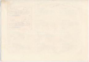 Derecske 1926. "Derecskei Közgazdasági Bank" részvénye 10P értékben, szárazpecséttel, szel...