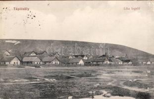 Tápiósűly libalegelő