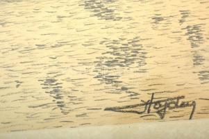 Hajdu jelzéssel: Vár a tónál. Ceruza, papír, üvegezett keretben, 19×32 cm