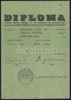 1971 Bp., A Magyar Ebtenyésztők Országos Egyesülete által kiadott eb diploma