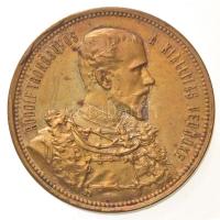 1885. Emlékérem a budapesti országos kiállításra aranyozott Br emlékérem RUDOLF TRÓNÖRÖKÖS A KIÁLLÍTÁS VÉDNÖKE / AZ 1885-IKI BUDAPESTI ORSZÁGOS KIÁLLÍTÁS EMLÉK ÉRME, Knopp és Steiner Budapesten gyártói jelzéssel (24,58g/38mm) T:2 peremen anyagfelesleg /  Hungary 1885. Rudolf heir to the throne / Medal for the National Exhibition in Budapest gilt Br commemorative medallion with makers mark Knopp és Steiner Budapesten (24,58g/38mm) C:XF excess material on edge