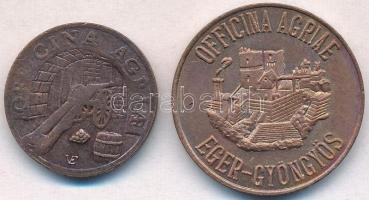 DN "Eger / Officina Agriae" + "Eger - Gyöngyös / Officina Agriae" fém múzeumi zs...