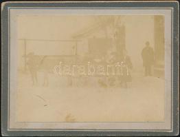 1905 Budafok, Csacsifogat, keményhátú fotó, 8x10,5 cm