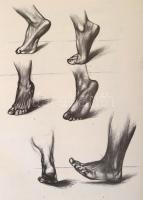 Barcsay Jenő: Anatomie für Künstler. Bp., 1967, Corvina. Kiadói egészvászon-kötés, kopottas borítóva...