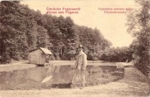 Fogaras, Fagaras; Fejedelem asszony kútja. Thierfeld Dávid kiadása 764. / Fürstenbrunnen / well