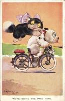 We are going the pace here / Bonzo dog and cat on motorbicycle. Valentines Bonzo postcards 1373. s: G. E. Studdy
