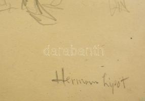 Herman jelzéssel: Aktok. Ceruza, papír, üvegezett keretben,   30×22 cm