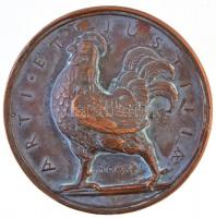 1921. "Petar Dobrovic / Arti et Justitiae" kétoldalas Br plakett, Dobrovics Péterről, szer...