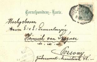 Vienna, Wien; Am Hof / market, monument, coat of arms, Art Nouveau, litho (EK)