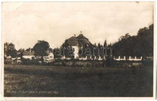 1930 Zsély, Zelovce; Zichy kastély / Zámok / castle, photo (EK)
