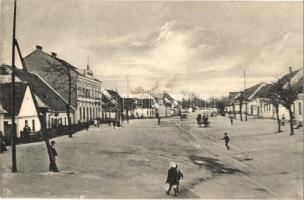 Nagylévárd, Velke Levare; Fő utca és Hubertinum. A. Wiesner / street view