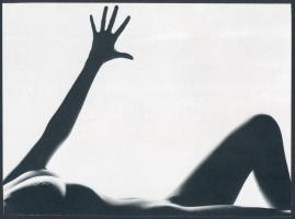 cca 1980 10 db aktfotóról készült nyomtatvány, 14x18,5 és 21x15 cm közti méretben