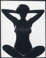 cca 1980 10 db aktfotóról készült nyomtatvány, 14x18,5 és 21x15 cm közti méretben