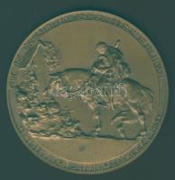 Ausztria 1914-15. Háborús emlékplakett "Limanowa-Tarnow-Gorlice". Szign:F.Mazura T:1/2