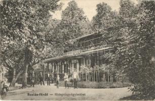 Buziás-fürdő, Hideg gyógyvízintézet, Trefort szobor / spa, statue - 2 db régi képeslap / 2 pre-1945 postcards