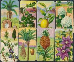 18 db színes litho kártya a Stühmer-sorozatból, különféle növények leírásával, néhányon szakadással,...