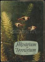 1956 Akvárium és Terrárium. I. évf. 1. szám., 1956. szeptember-október. Tűzött papírkötés, szakadt borítóval, a kötés elvált a borítótól.