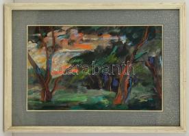 Szécsi András (1934-1991): Erdőszél 1980. Olaj-pasztell, karton, jelzett, üvegezett keretben, 33×53 ...